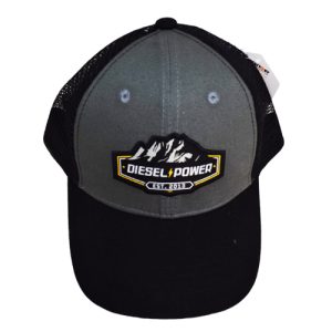 DSP-DP BB Cap 101